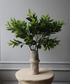 gallery-36986-for-BO005