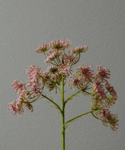 gallery-36991-for-BO0055