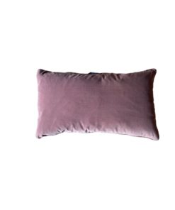 gallery-37419-for-CL2025-52