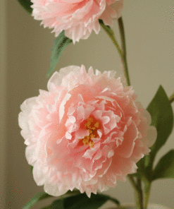 gallery-37431-for-BO0077