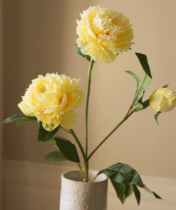 gallery-37429-for-BO0067