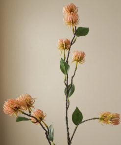 gallery-37439-for-BO0060