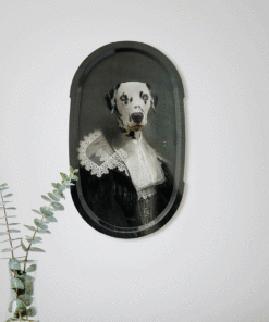 gallery-37547-for-IBPFGPSAPH