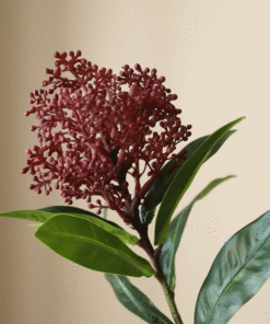 gallery-37754-for-BO00042