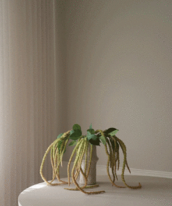 gallery-37816-for-BO0051