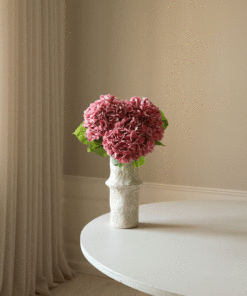 gallery-37818-for-BO0047