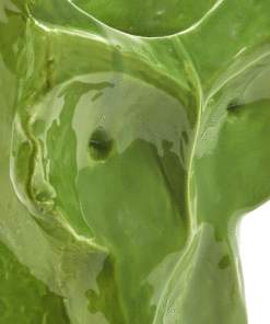 gallery-37869-for-SERAX007