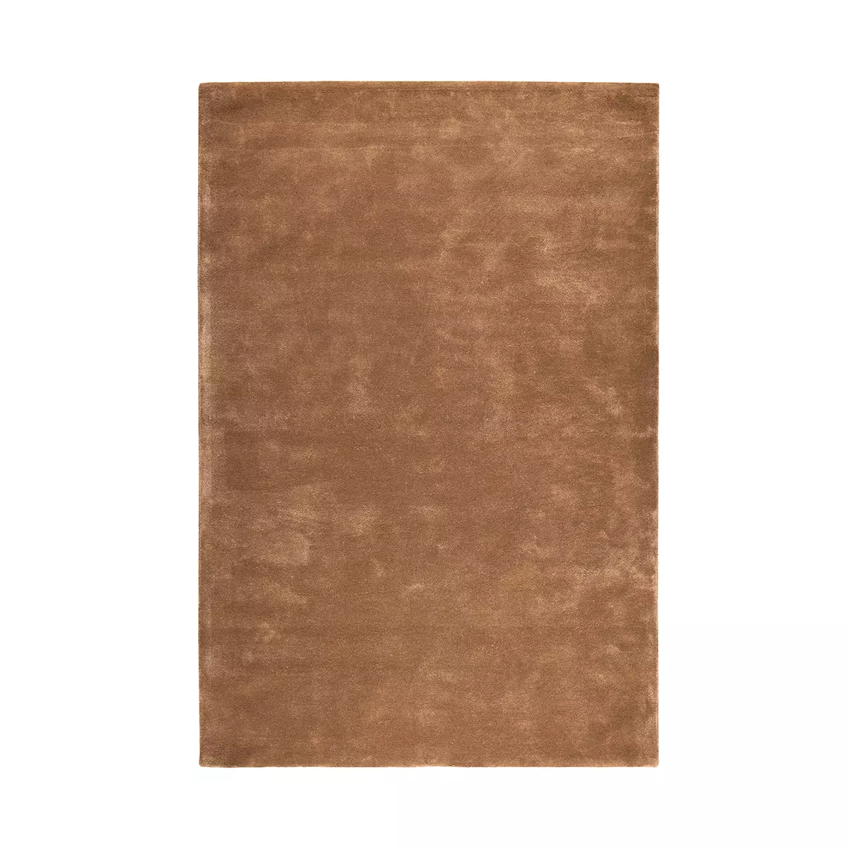 Gulvteppe Earth Handtuftet 200x300