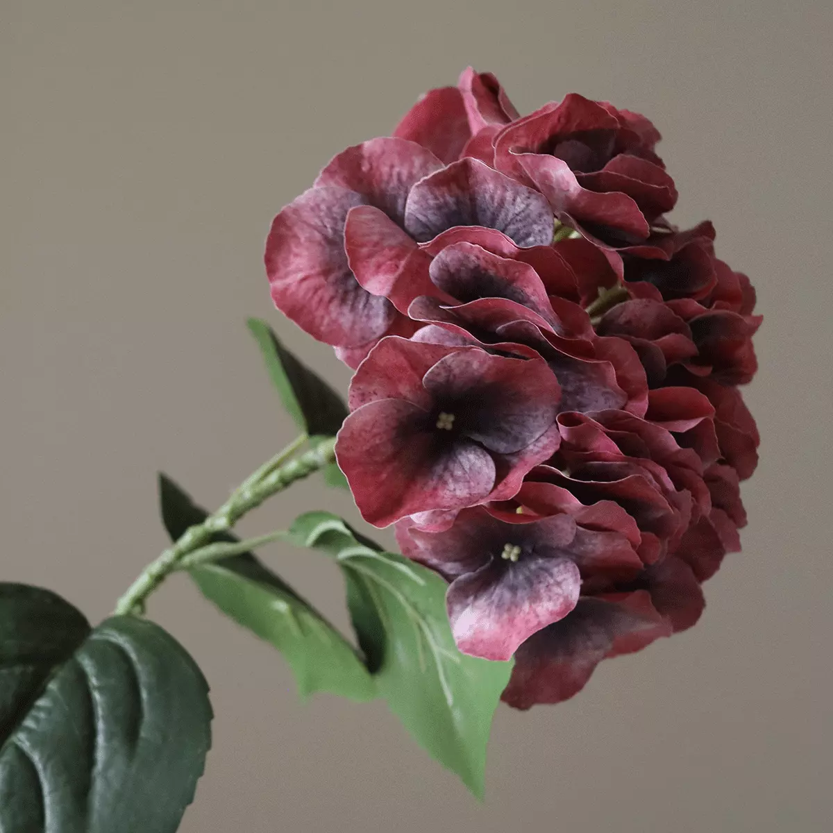 gallery-38423-for-BOBOT-RE-HYD-010