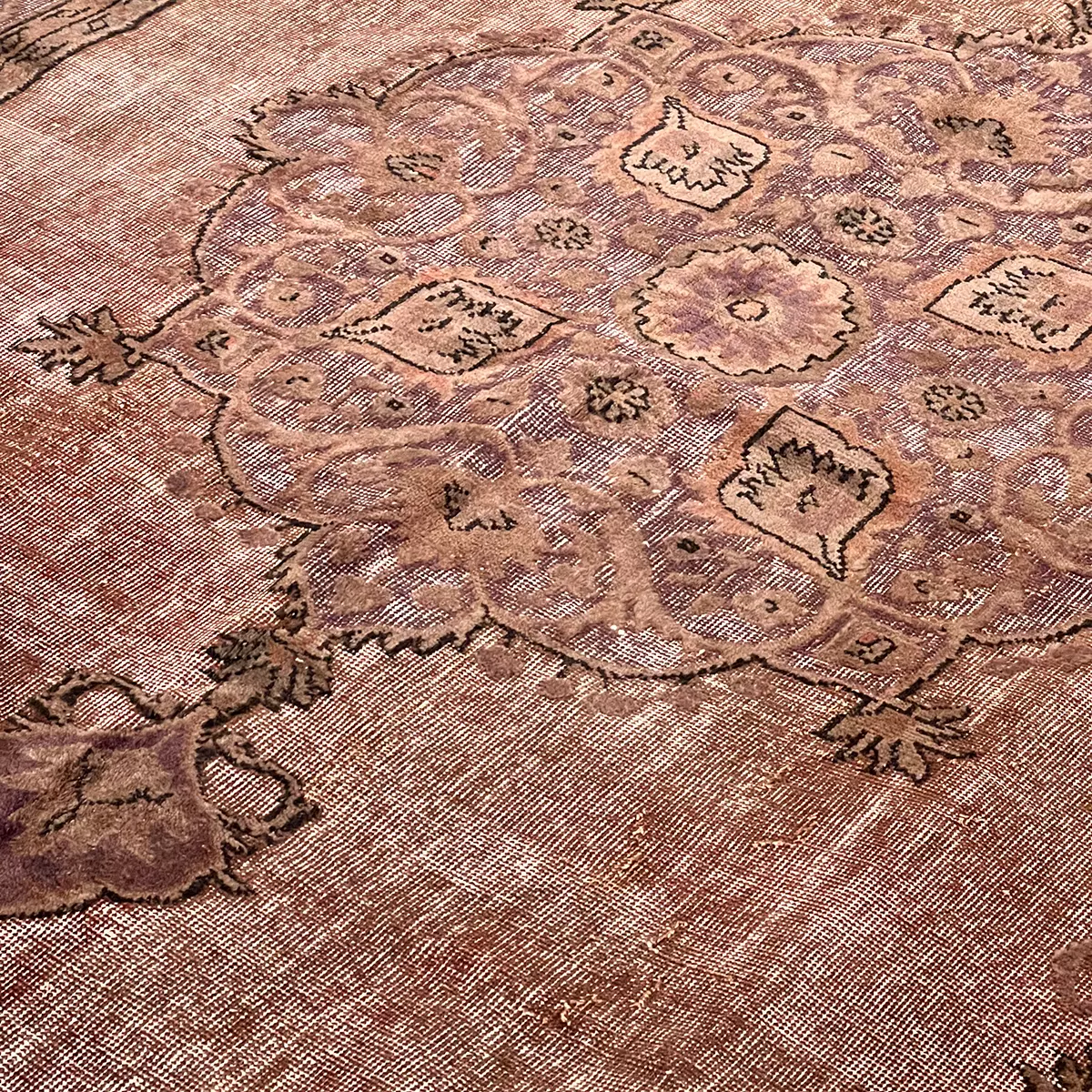 gallery-29886-for-ADAA2206132