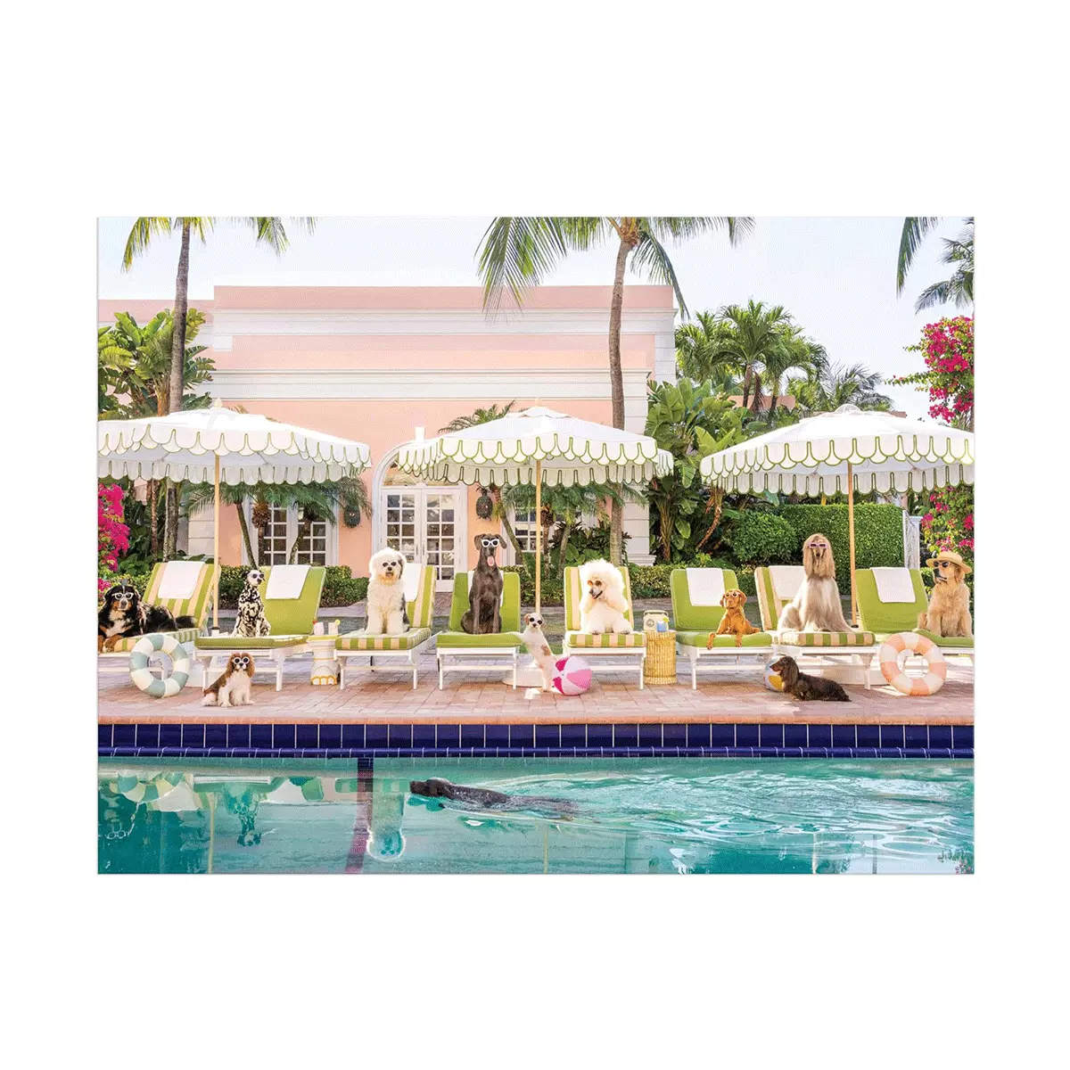 Gray Malin Palm Beach – 1000 brikker puslespill