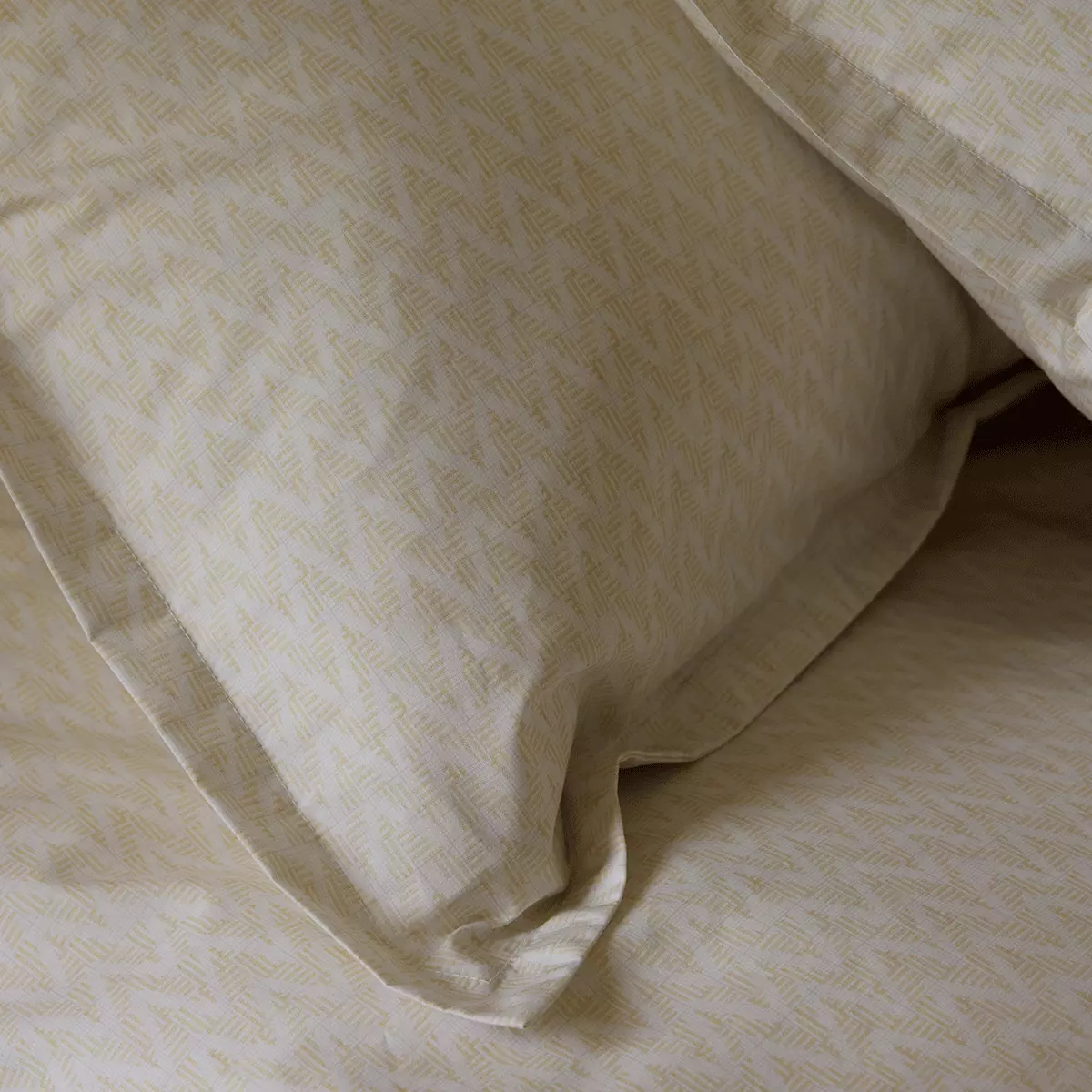 gallery-39315-for-mn20241202-50x90