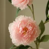 gallery-39643-for-BOT-PI-PEO-001