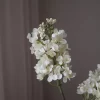 gallery-39648-for-BOT-WH-LILAC-002