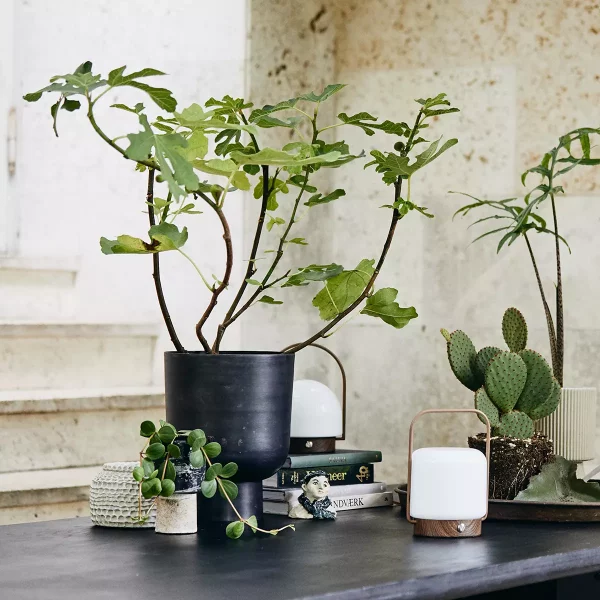 gallery-29961-for-ND8820