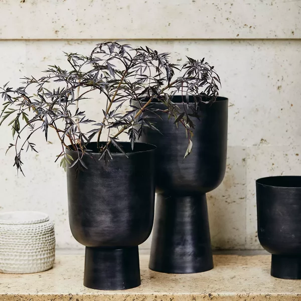 gallery-29957-for-ND8815