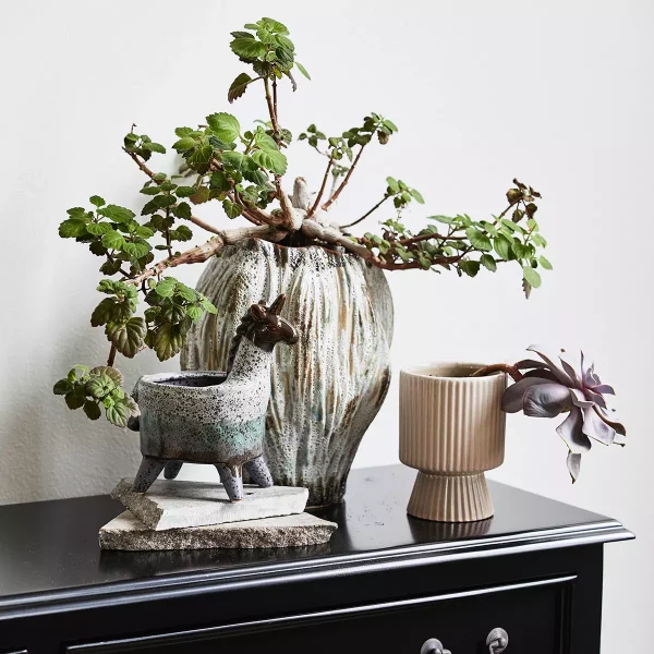 gallery-29984-for-ND42020