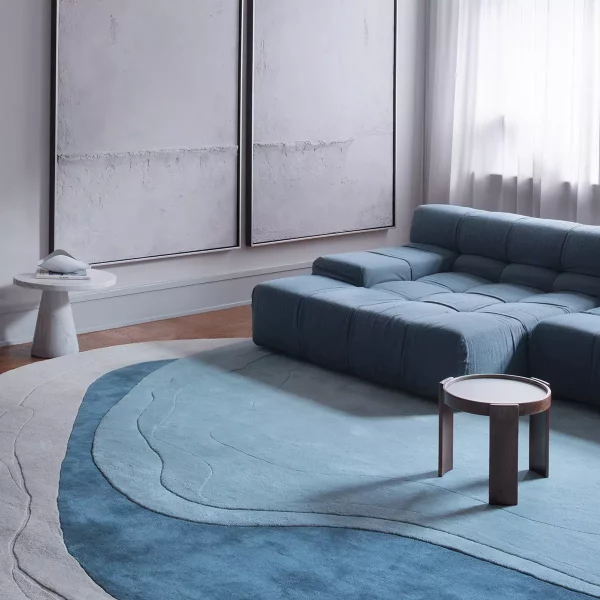 gallery-39855-for-LAYEBLOZZATEAL270/350