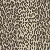 Tapet Wild Card Butterscotch