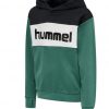 Hummel  hmlMORTEN HOODIE