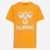 Hummel  hmlTRES T-SHIRT S/S