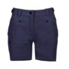 Five Seasons Elvedalen Shorts (Navy)