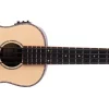 Morgan Ukulele Bass E AR