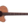 Morgan Akustisk bass AB 09 CE N