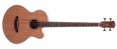 Morgan Akustisk bass AB 09 CE N