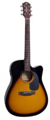 Morgan W 104 CE Akustisk gitar m/pickup(4)