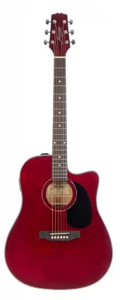 Morgan W 104 CE Akustisk gitar m/pickup(3)