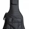 MORGAN RW04WG GIG BAG