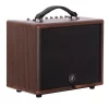Morgan Amp AC 45FXBT