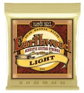 Ernie Ball 2004 Earthwood 80/20 Light