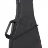 Morgan RW02 Mandolin Bag