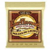 Ernie Ball 2003 Earthwood 80/20 Medium Light
