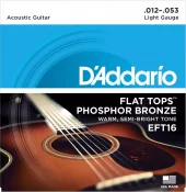 D'addario Flat Tops Phosphor Bronze 12-53