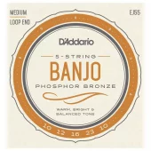 D'addario banjo strengesett 010-023 medium