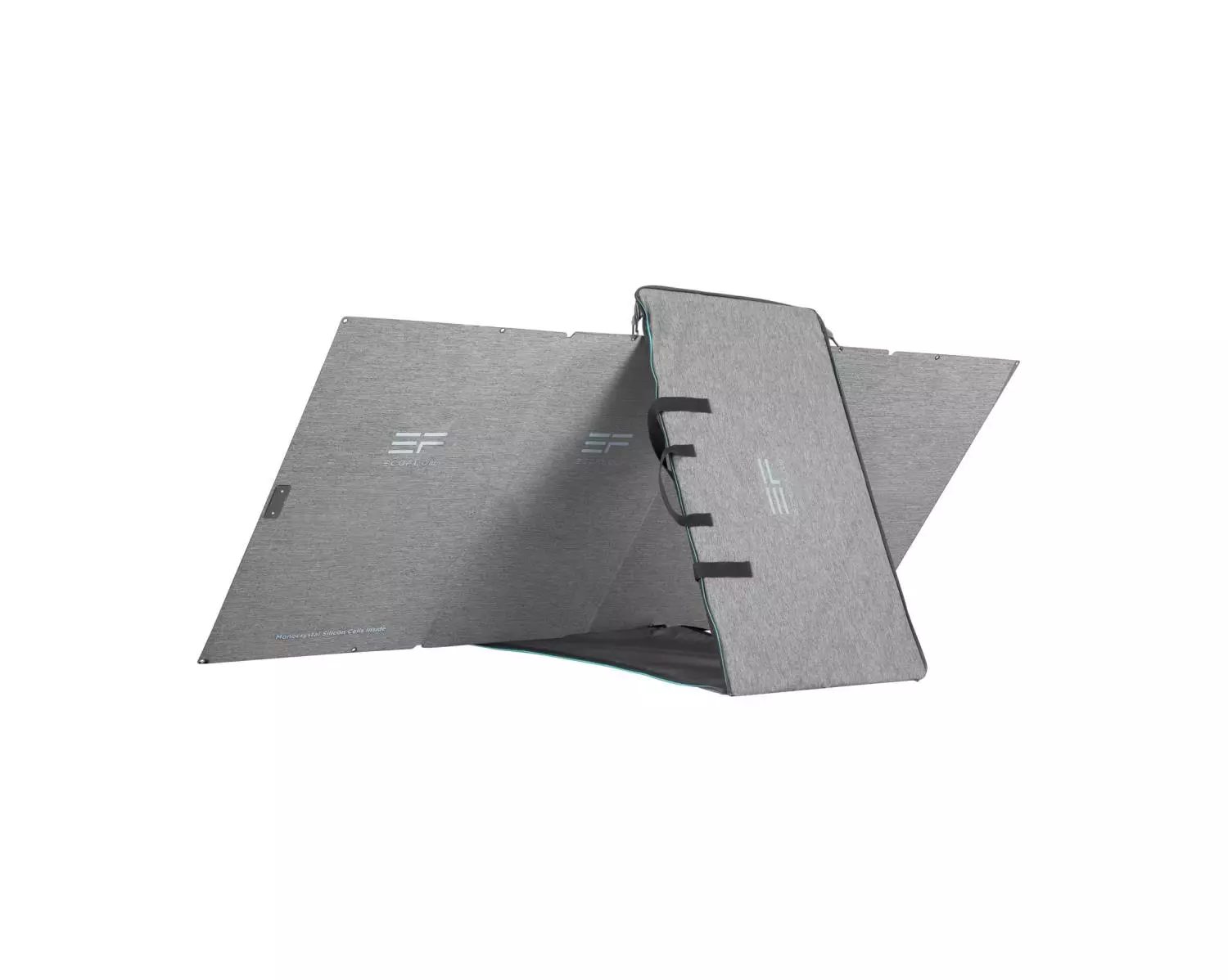 gallery-6244-for-5006701012