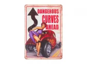 Dangerous Curves - Metallskilt i Aluminium - 20x30cm