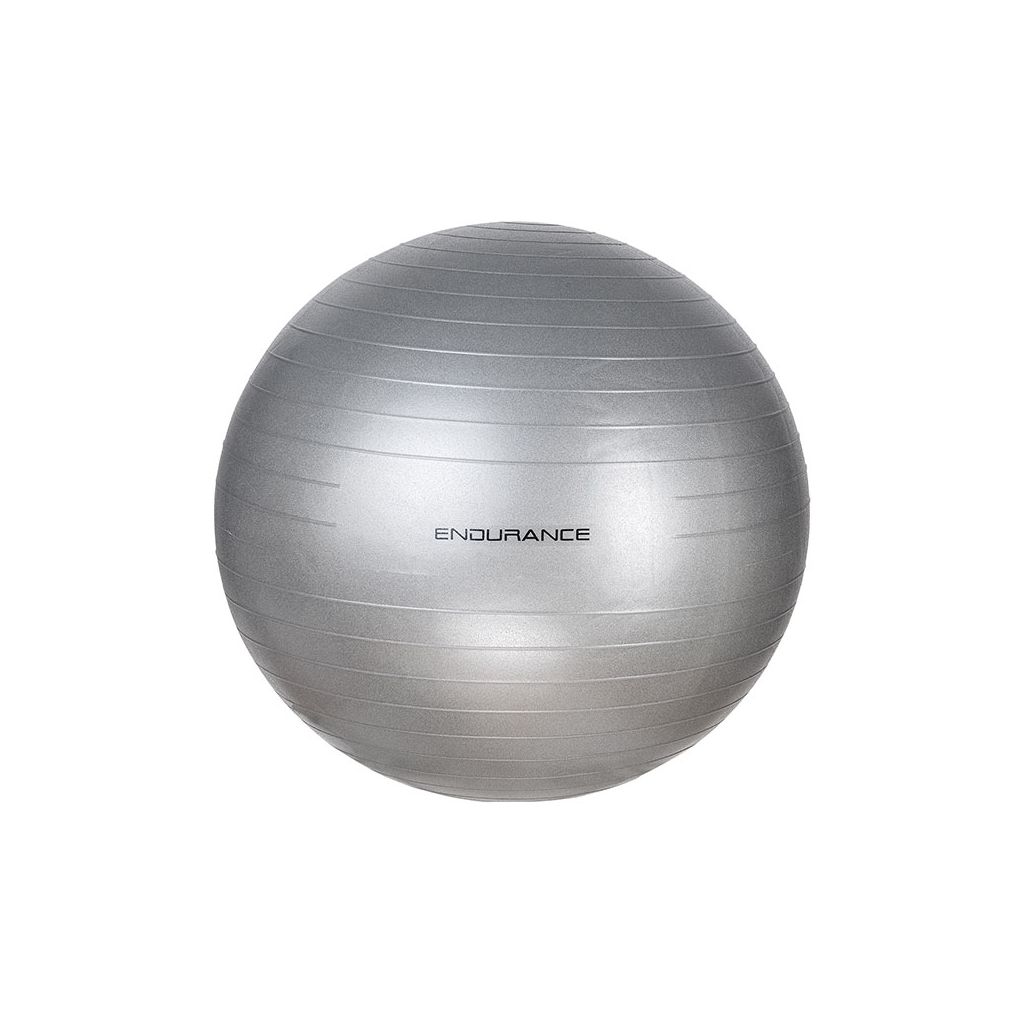 Endurance  Gym Ball 65cm incl. Pump