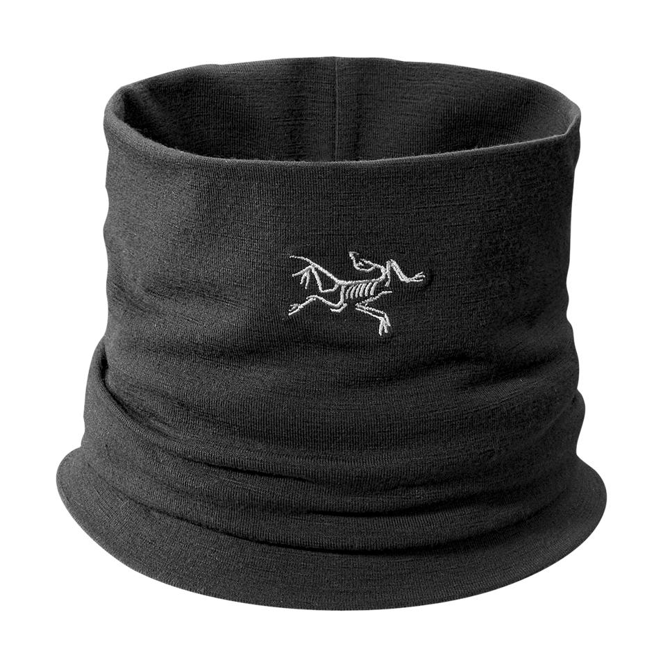 ArcTeryx  Rho LTW Neck Gaiter