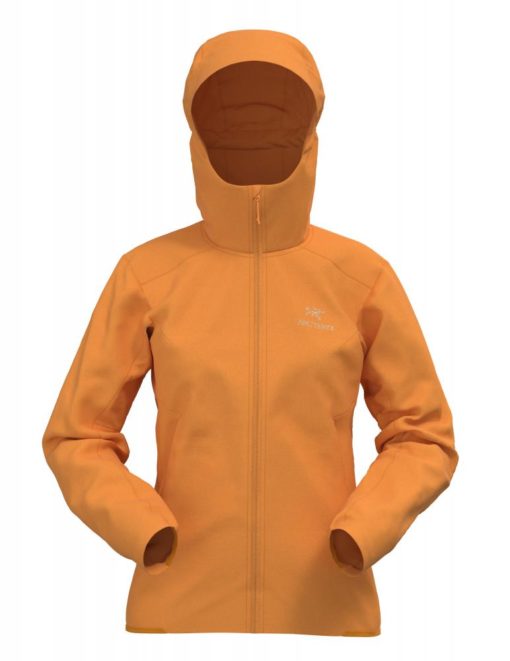 ArcTeryx  Gamma SL Hoody Women's