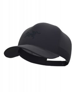 ArcTeryx  Bird Trucker Curved Caps