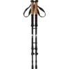 Whistler  Delmarve Trekking Poles