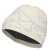 ArcTeryx  Bird Head Toque