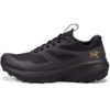 ArcTeryx  Norvan Ld 3 W