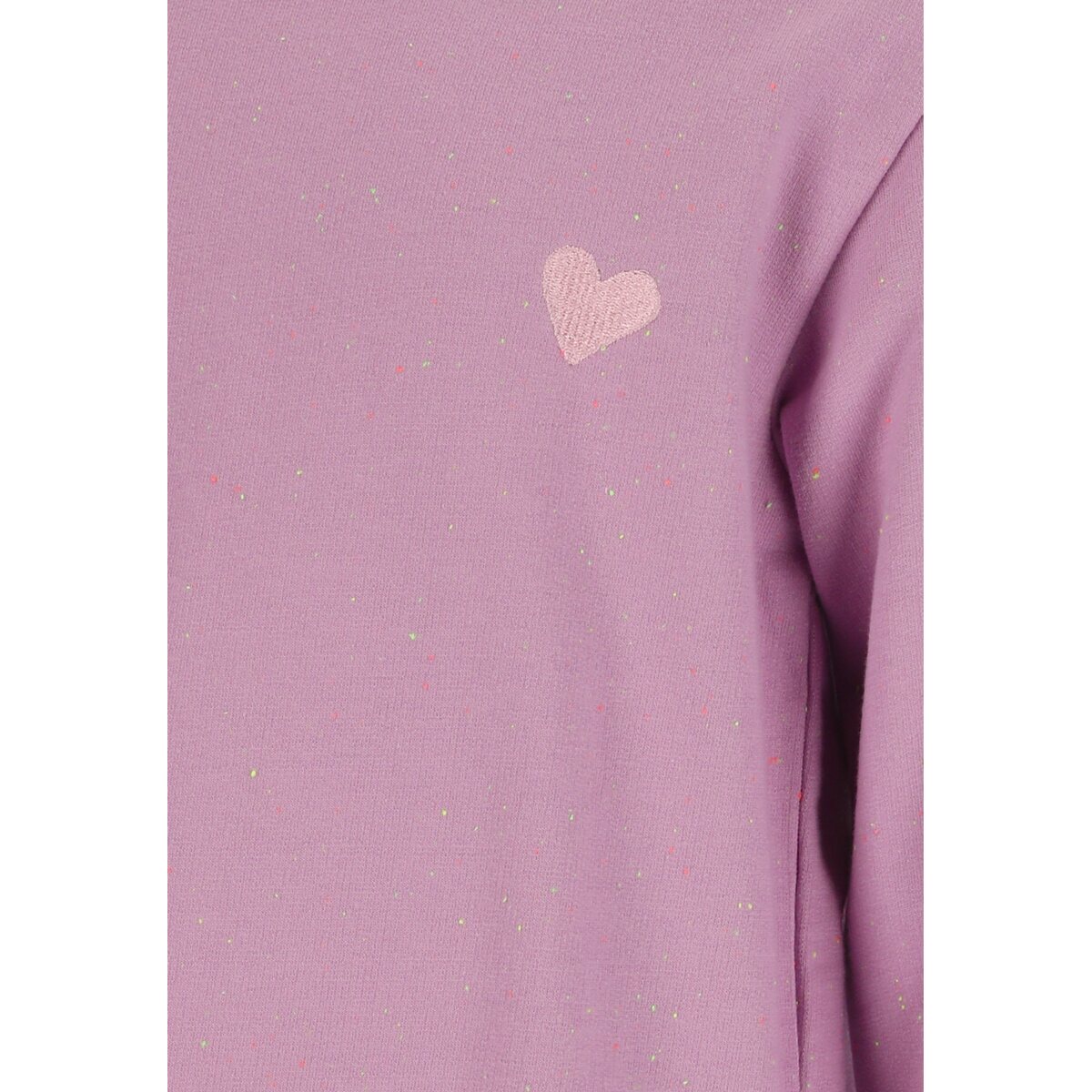 gallery-31152-for-Z251020 4237