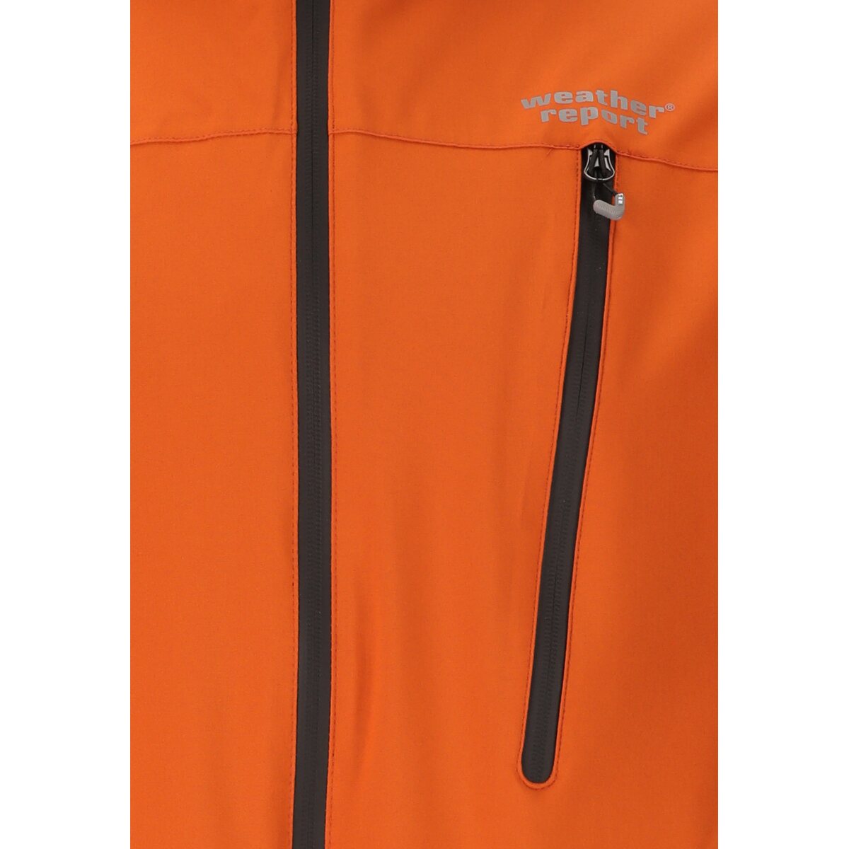 gallery-31198-for-2003802