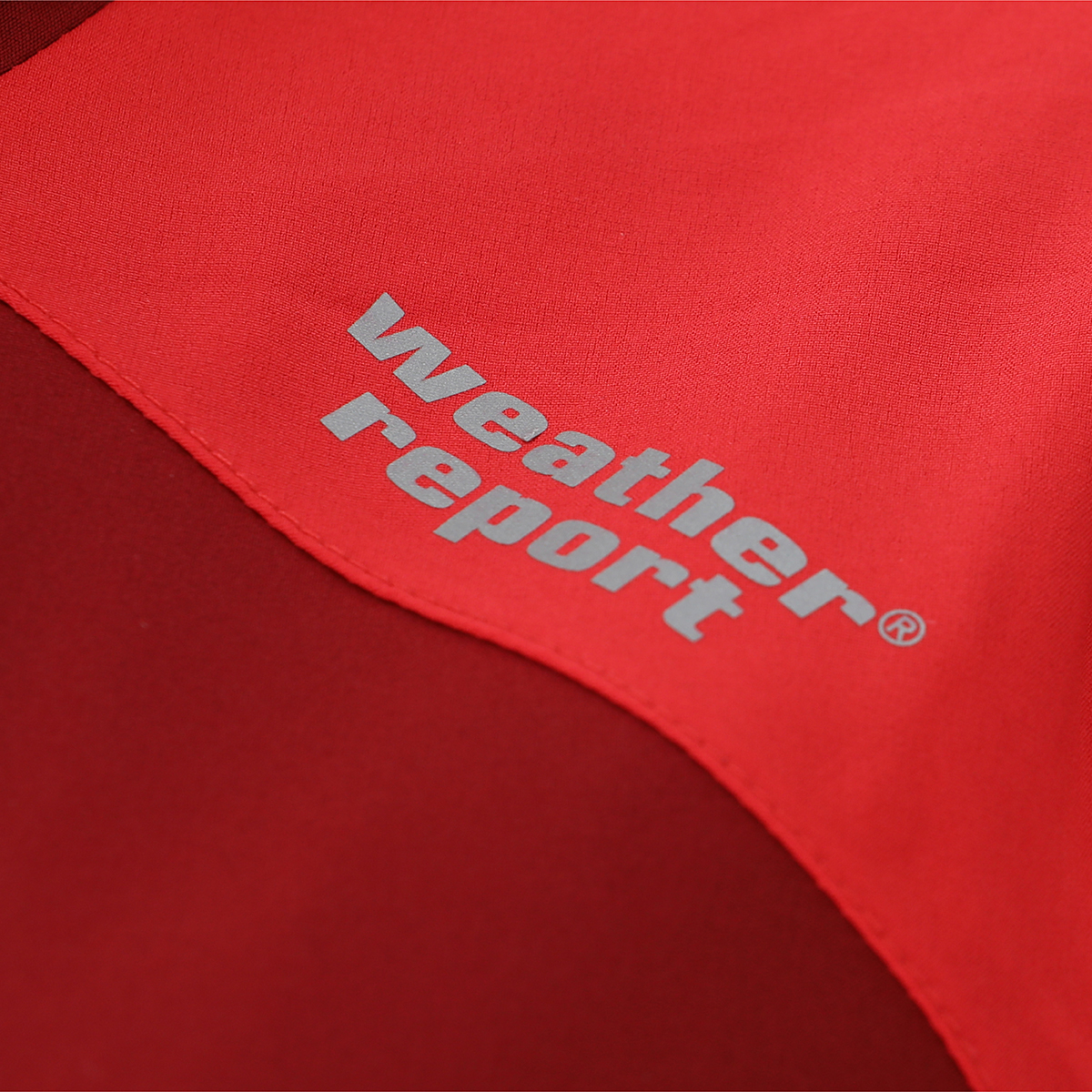 gallery-31202-for-1945606